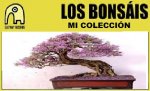 ESTE.jpg