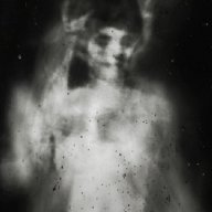 la noche del lobo