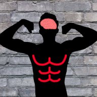 The Fitness Student