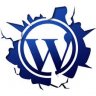 Experto WordPress