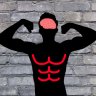 The Fitness Student