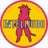 INTELIJUDO